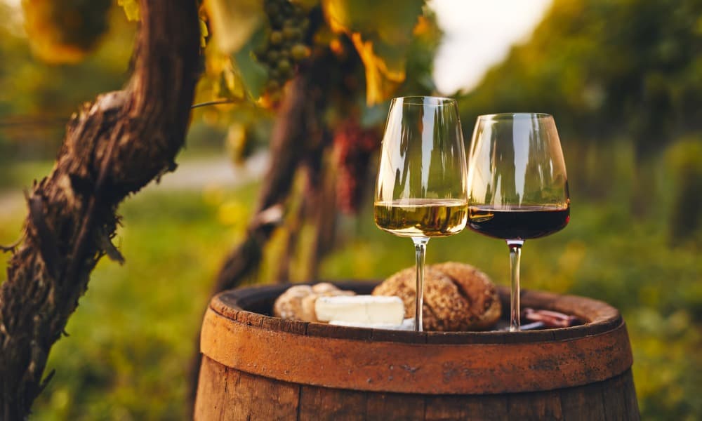 Two glasses of wine, one white and one red, sit on an old barrel outside a winery overlooking a vineyard.