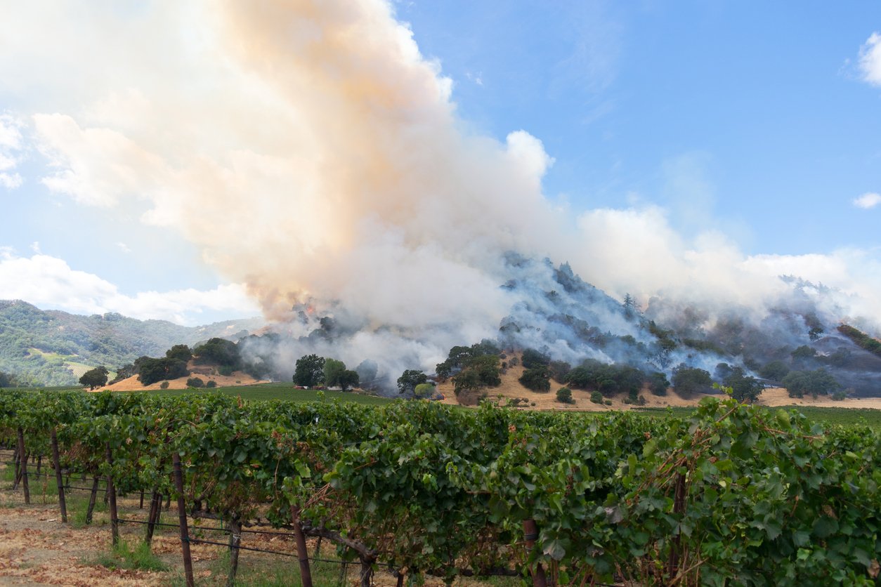 Napa Valley Wildfire Relief Endsight Will Double Your Donation