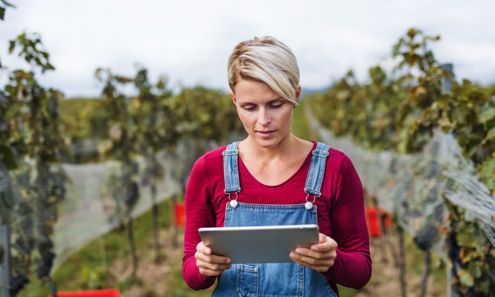 The image shows a female standing between rows of wine grapes at a winery and using a tablet for cloud computing.